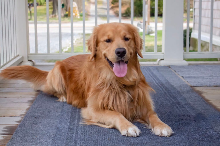 Home Bourget Law Group